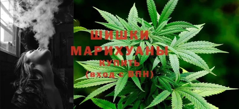 Бошки марихуана THC 21%  где можно купить наркотик  кракен как войти  Лобня 